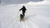 Un abri pour le vent et deux surfaces bien stables pour poser les pattes. Toi t'es mon copain, je ne te lâche plus d'une semelle (de ski). Fava_08_009.jpg