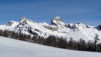 Fava_13_005