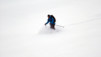 Fava_14_047