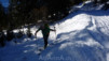 Fava_2010_004