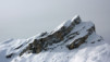 Fava_2010_011