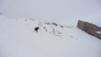 Fava_2010_013