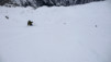 Fava_2010_014