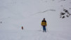 Fava_2010_017