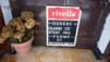Fava_2010_021