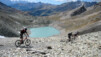 Fenetre_Durand_06_019.jpg