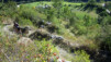 Fenetre_Durand_06_035.jpg