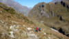 Fenetre_Durand_08_011.jpg
