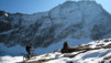 Fenetre_Durand_08_025.jpg