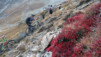 Fenetre_Durand_09_012