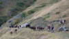 Fenetre_Durand_09_049