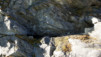 Fenetre_Durand_11_001