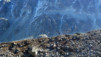 Fenetre_Durand_11_012