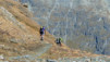 Fenetre_Durand_11_025