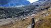 Fenetre_Durand_11_026