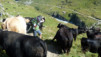 Fenetre_Durand_12_010