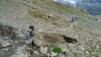 Fenetre_Durand_12_020