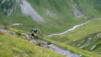 Fenetre_Ferret_036