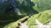 Fenetre_Ferret_038