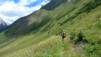 Fenetre_Ferret_041