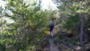 Finges_09_001.jpg