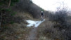 Finges_09_002.jpg