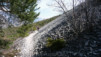 Finges_09_003.jpg