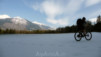 Finges_09_005.jpg