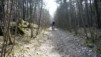 Finges_09_011.jpg