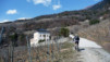 Finges_09_013.jpg