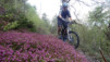 Finges_13_001