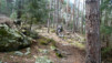 Finges_13_003