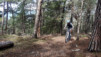 Finges_13_004