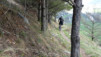 Finges_13_025