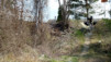 Finges_2010_013