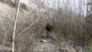 Finges_Gampel_003