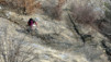 Finges_Gampel_013
