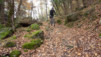 Follateres_006