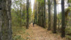 Follateres_028