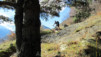 Follateres_10_005