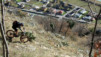 Follateres_10_006