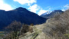 Follateres_10_007