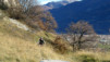 Follateres_10_009