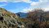 Follateres_10_010