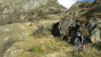 Follateres_10_011