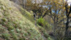 Follateres_10_013