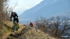 Follateres_12_011