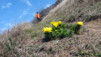 Follateres_12_019