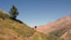 Forcletta_09_032