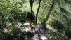 Forcletta_09_035